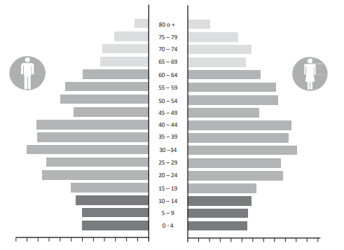 Exemple de piràmide de població per edat i sexe